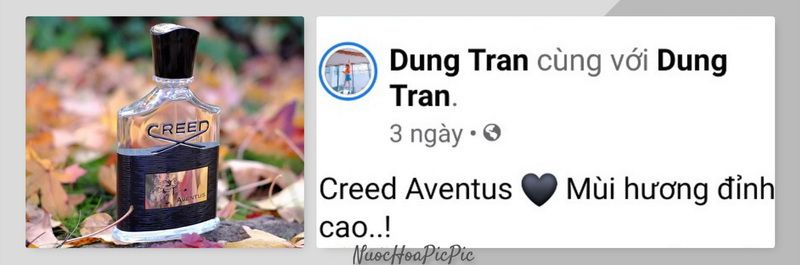 Creed Aventus Men Edp 100ml - Nuoc Hoa Pic Pic