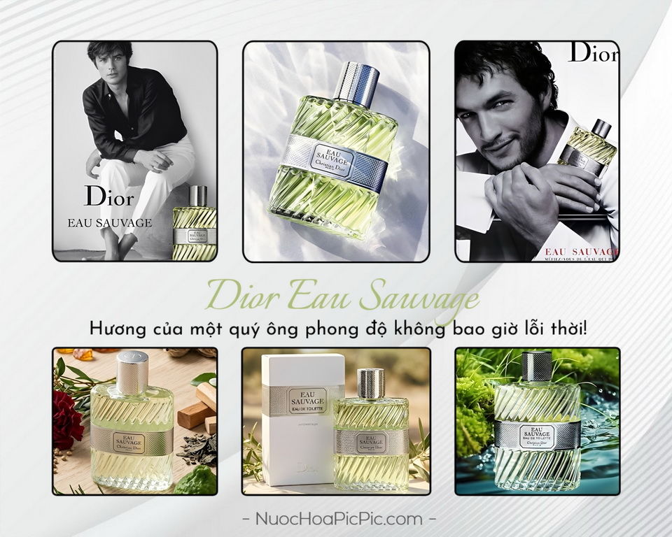 Dior Eau Sauvage Edt 50ml - Nuoc Hoa Pic Pic