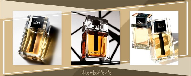 Dior Homme Edt - Nuoc Hoa Pic Pic
