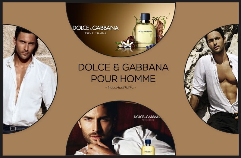 Dolce & Gabbana Pour Homme - Nuoc Hoa Pic Pic
