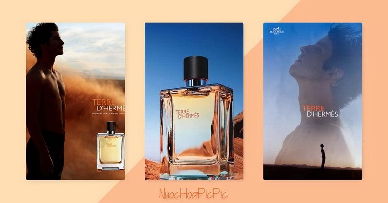 Hermes Terre DHermes Edt - Nuoc Hoa Pic Pic