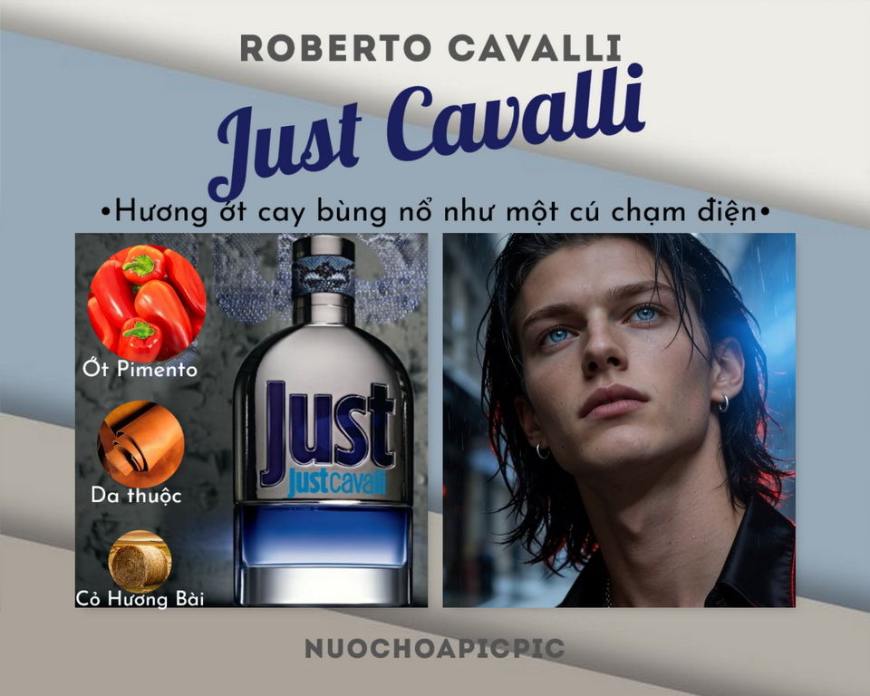 Roberto Cavalli Just Cavalli Edt 50ml - Nuoc Hoa Pic Pic