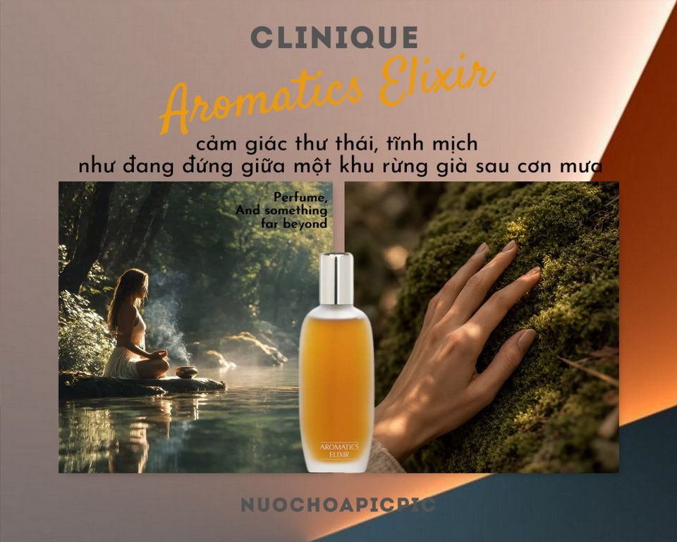 Clinique Aromatics Elixir Edp 100ml - Nuoc Hoa Pic Pic