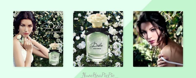 DG Dolce Eau de parfum - Nuoc Hoa Pic Pic