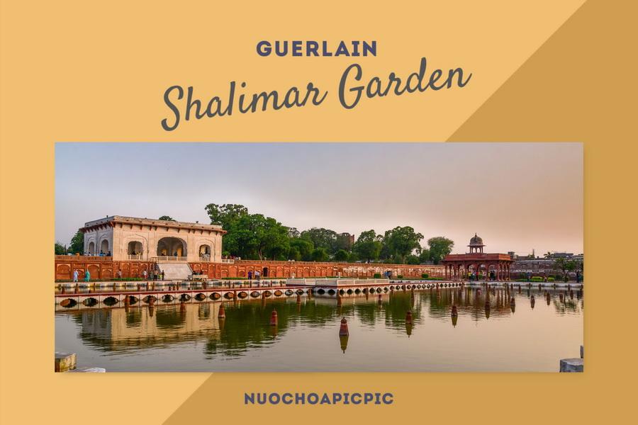 Guerlain Shalimar Edp - Nuoc Hoa Pic Pic