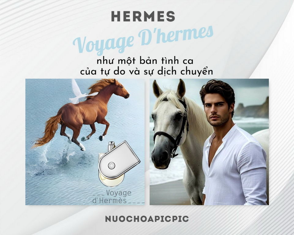 Hermes Voyage D'hermes Edt - Nuoc Hoa Pic Pic
