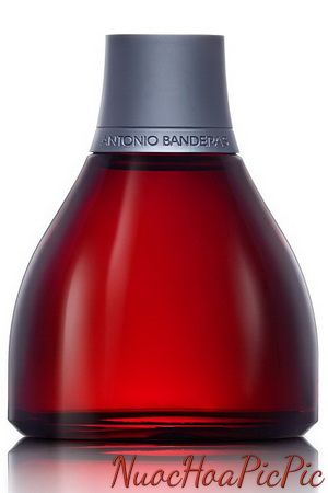 nước hoa nam antonio banderas spirit edt 100ml