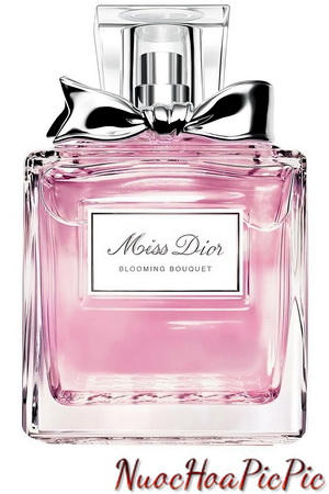 Christian Dior Miss Dior Rose NRoses Linh Perfume