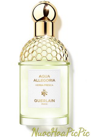 nước hoa unisex guerlain aqua allegoria herba fresca edt 75ml