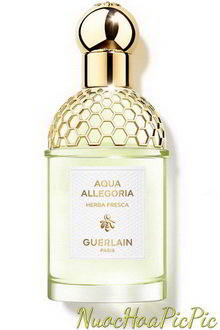 nước hoa unisex guerlain aqua allegoria herba fresca edt 75ml