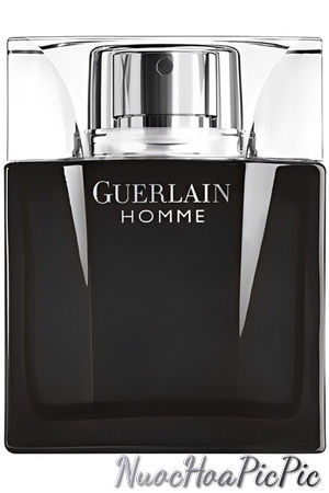 nước hoa nam guerlain homme intense edp 80ml