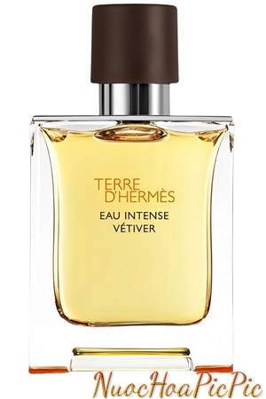 nước hoa nam hermes terre d'hermes eau intense vetiver edp 50ml