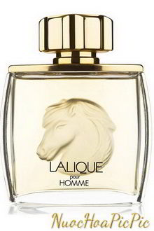 nước hoa nam lalique pour homme equus edp 75ml