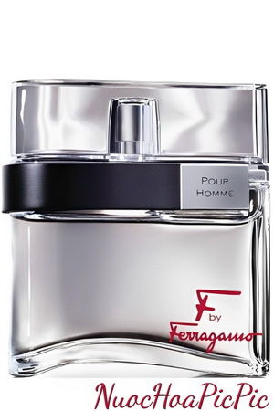 nước hoa nam salvatore ferragamo f by ferragamo pour homme edt 100ml